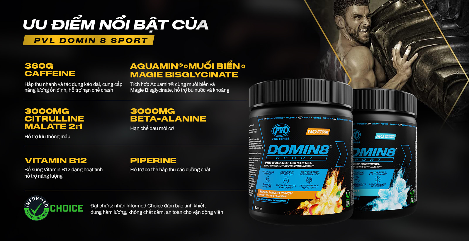 PVL Domin 8 Sport Ưu Điểm