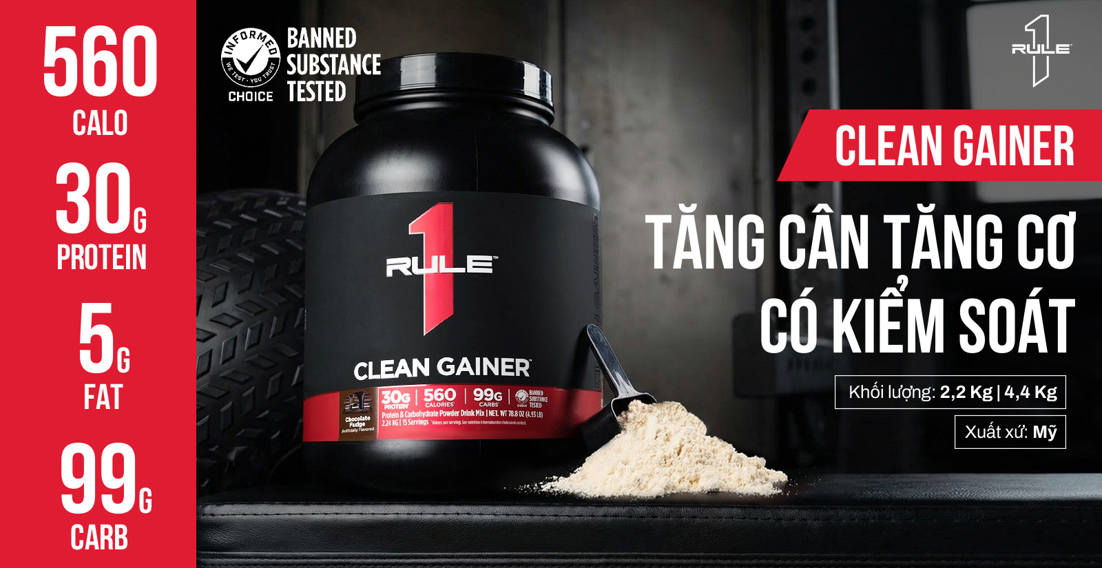 Rule 1 Clean Gainer nổi bật