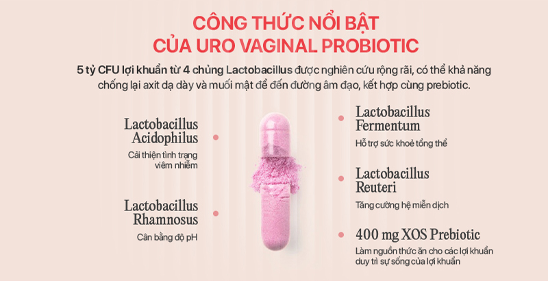 URO Vaginal Probiotic Thành Phần