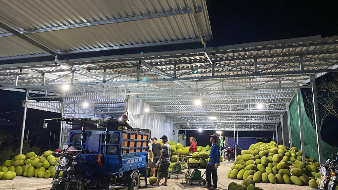 Quạt thổi khô trái cây nông sản công nghiệp - Lượng gió lớn, nhanh khô Quạt thổi khô trái cây nông sản công nghiệp - Lượng gió lớn, nhanh khô