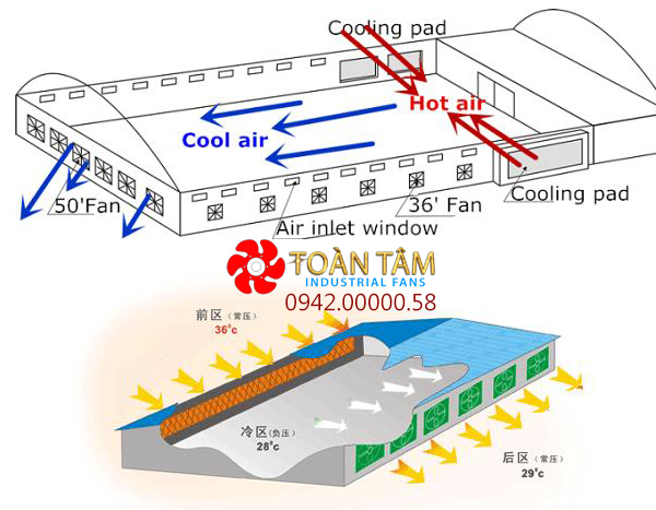 Giải pháp làm mát nhà xưởng bằng hơi nước công nghiệp