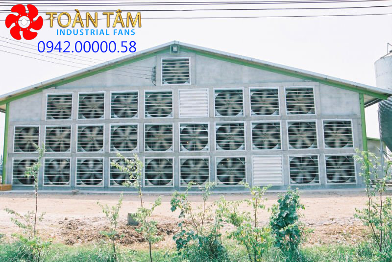 hệ thống làm mát nhà xưởng bằng hơi nước