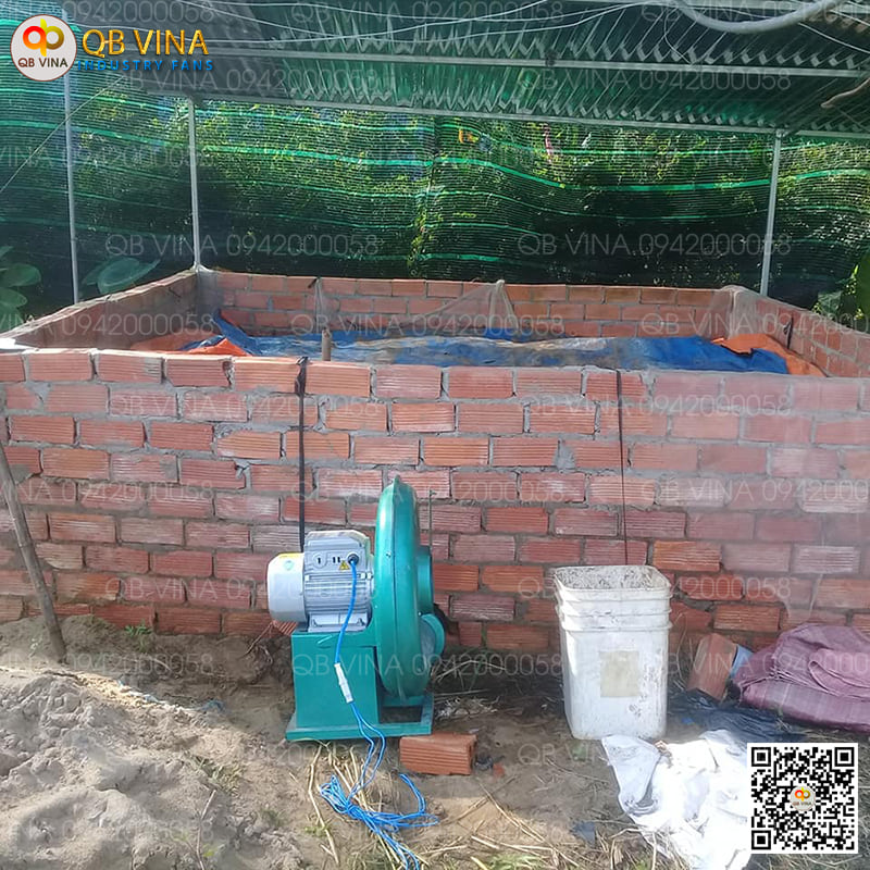 quạt thổi khí con sò cho hầm phân Biogas