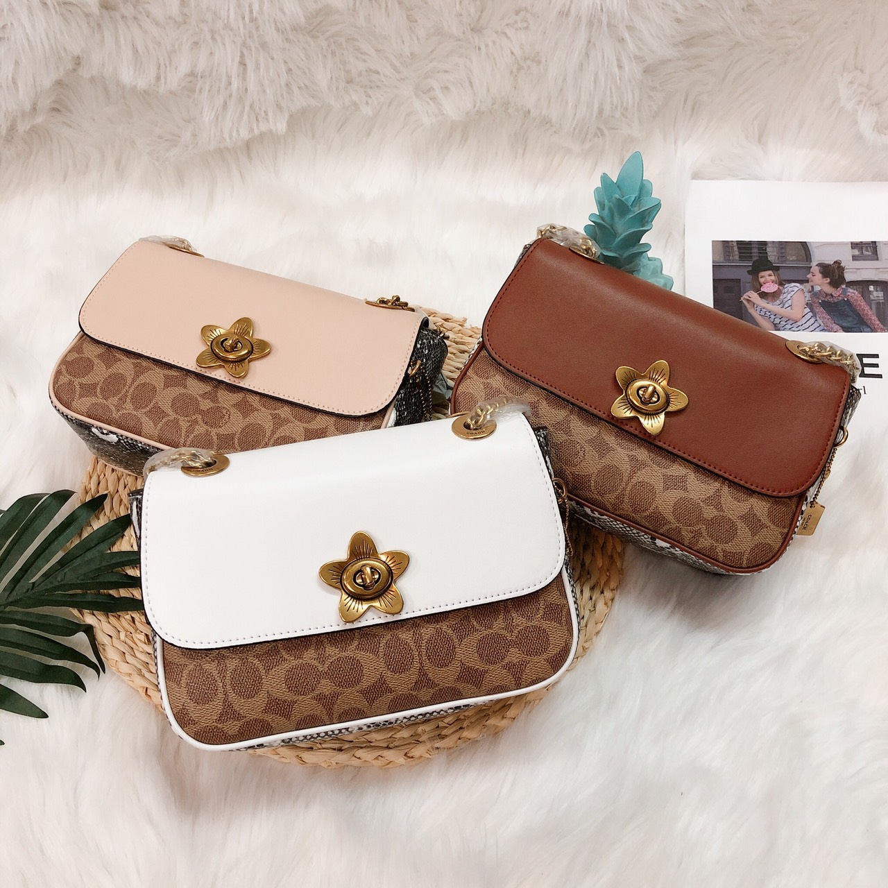 Túi Coach vân C nắp trơn khóa sao - XK799