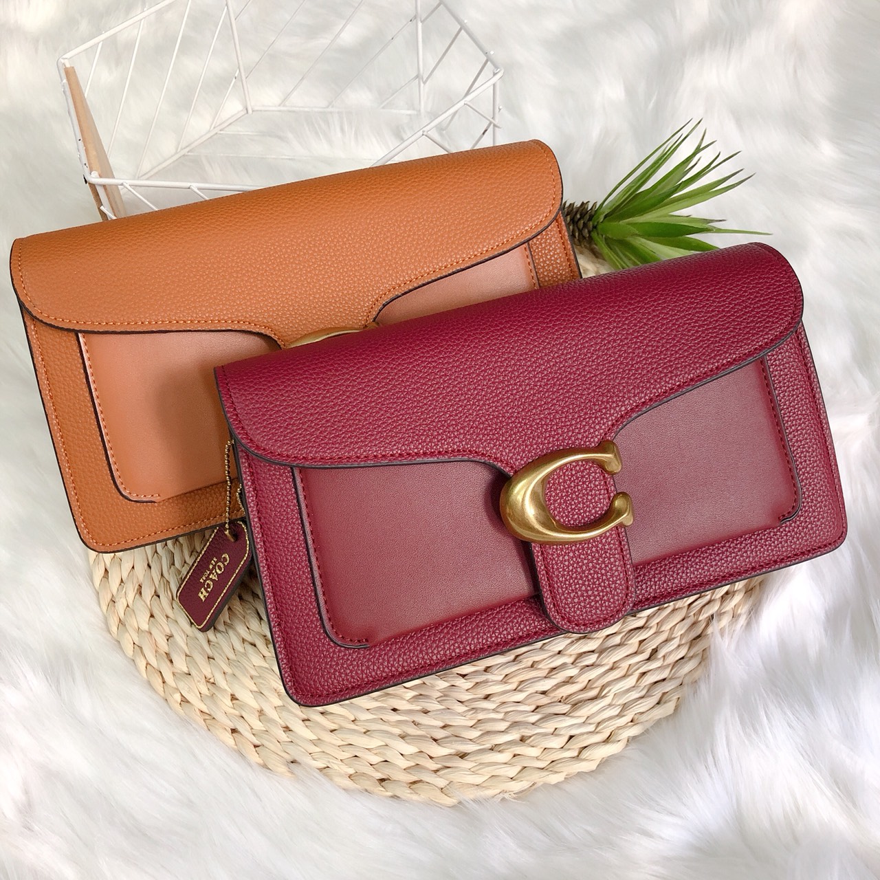 Túi Coach ngang khóa chữ C - C045