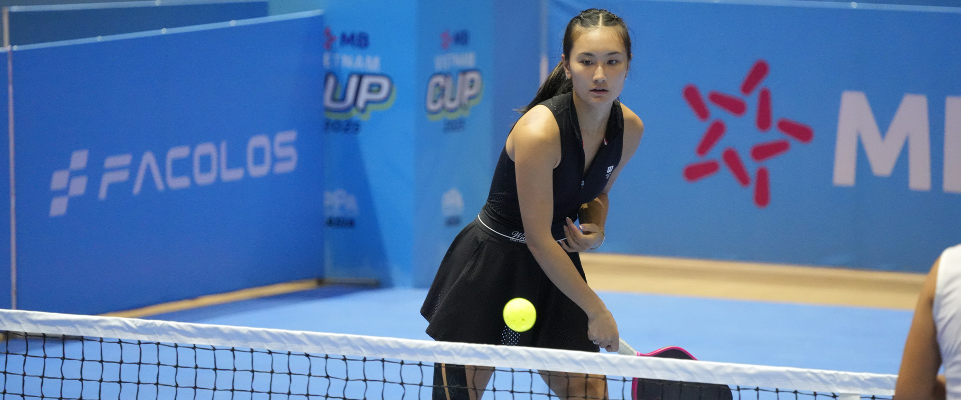 Lơi ích và tầm quan trọng của Dink