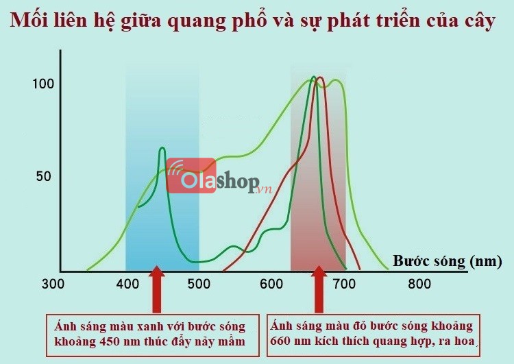 Đèn Led trồng cây trong nhà