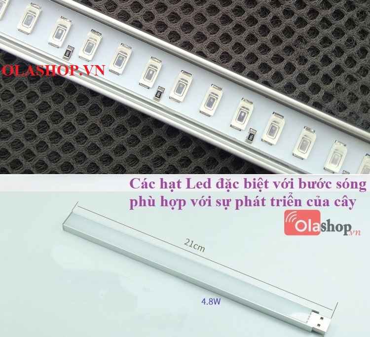 Đèn Led trồng cây trong nhà