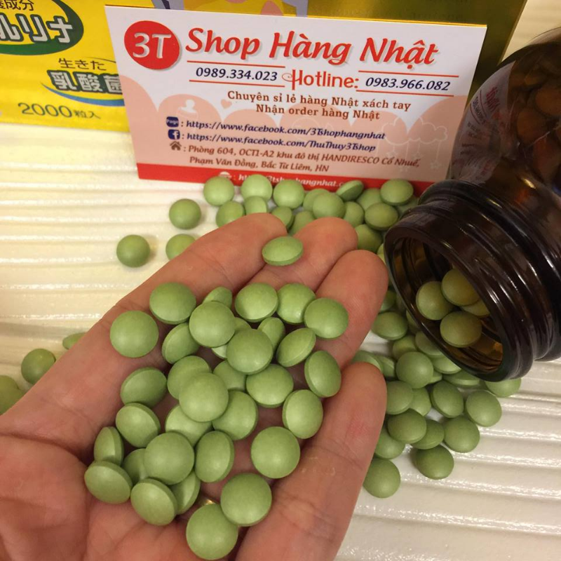 Tảo