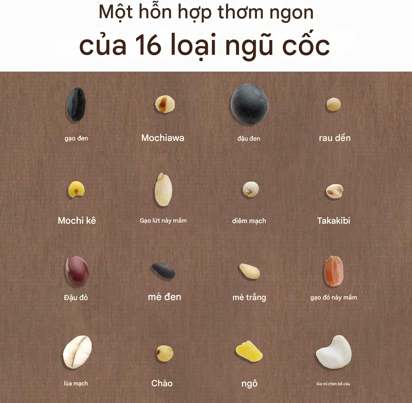 Ngũ