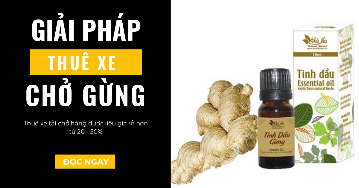 giải pháp thuê xe tải chở hàng dược liệu