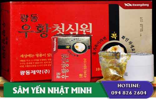 An cung ngưu tổ kén Kwangdong Hàn Quốc 2 An cung ngưu tổ kén Kwangdong tốt cho hệ tim mạch