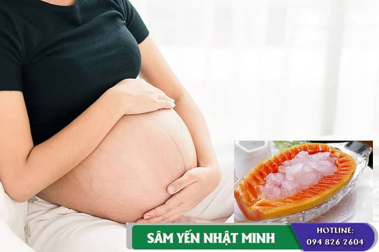 Tổ yến tốt cho bà bầu và thai nhi