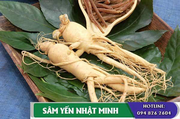 Bảo quản nhân sâm