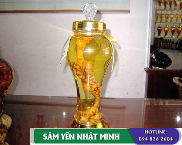 bình ngâm rượu sâm Hàn Quốc