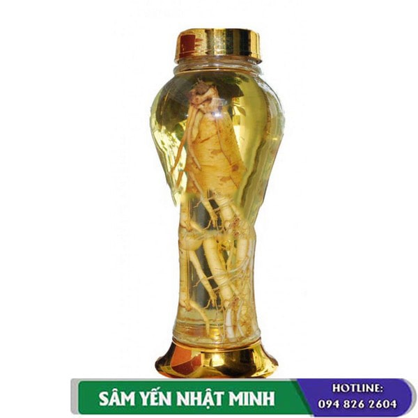 Bình thủy tinh ngâm nhân sâm