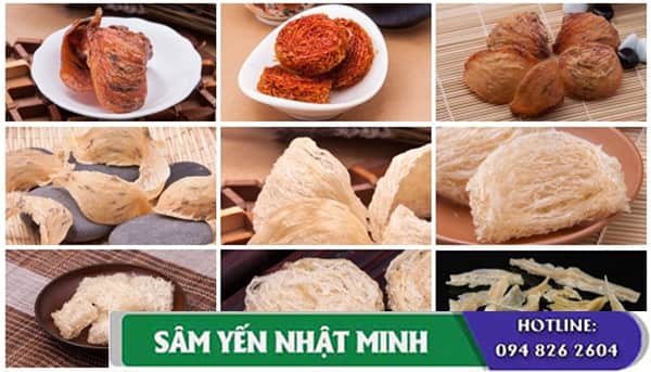 Các loại yến sào