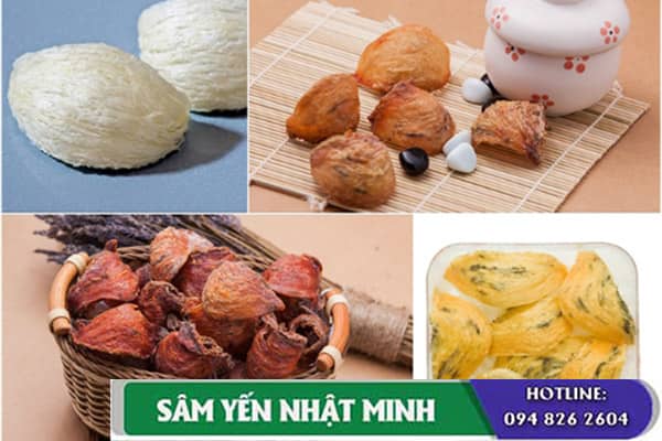 Cách chế biến yến sào