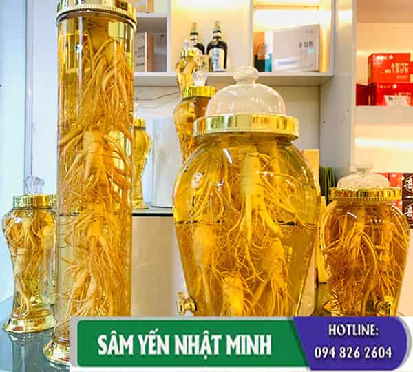 Cách ngâm rượu nhân sâm