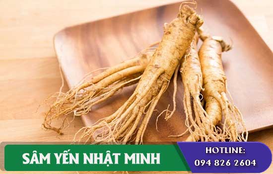 ai không nên ăn yến chưng nhân sâm