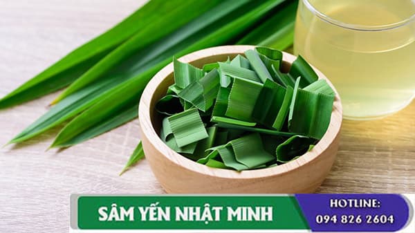 Cách nấu yến sào lá dứa