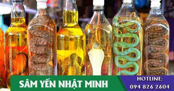 Cách ngâm bình rượu ngâm rắn hổ mang