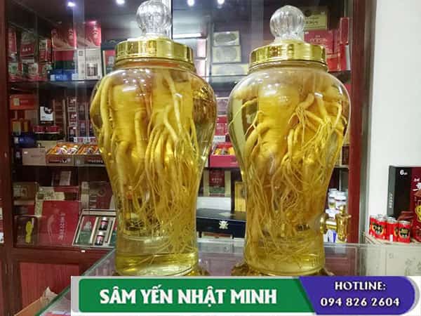 Cách ngâm rượu nhân sâm