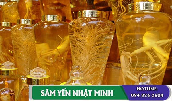 cách ngâm rượu nhân sâm
