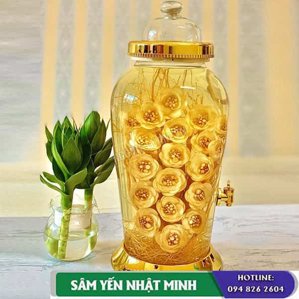 Cách ngâm rượu nhân sâm