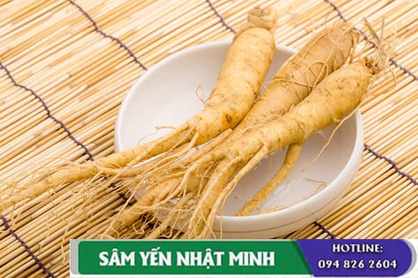 cách sử dụng nhâm sâm hàn quốc