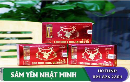 cao ban long 100g từ nhung hươu siberia chính hãng