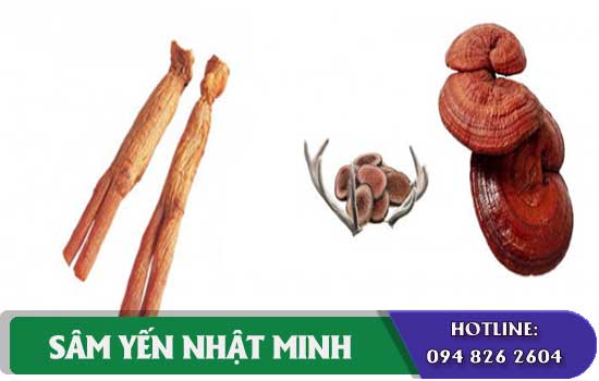 Cao hồng sâm nhung hươu linh chi dùng cho người cao tuổi