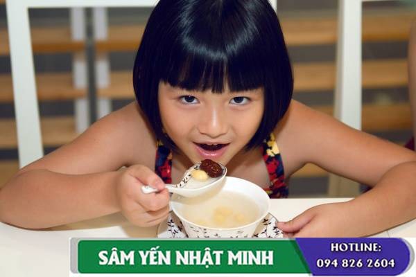 Chế biến yến sào