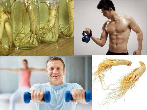 Công Dụng Nhân Sâm