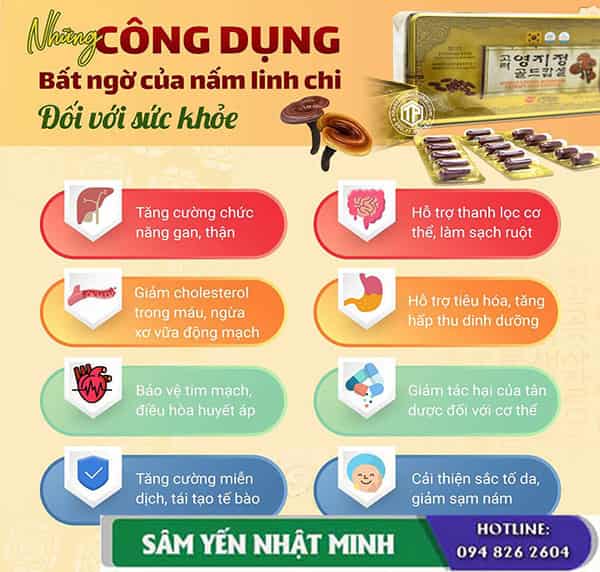 Công dụng viên linh chi