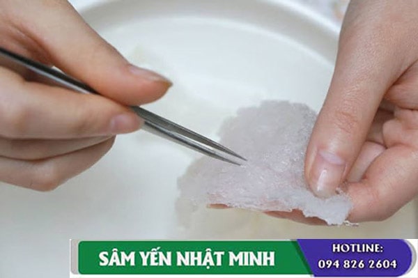 dùng nhíp nhặt lông yến