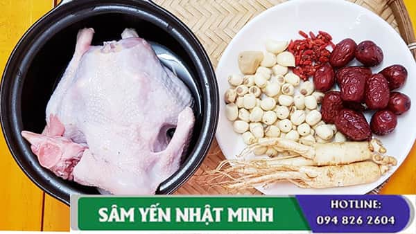 Hầm gà nhân sâm tươi