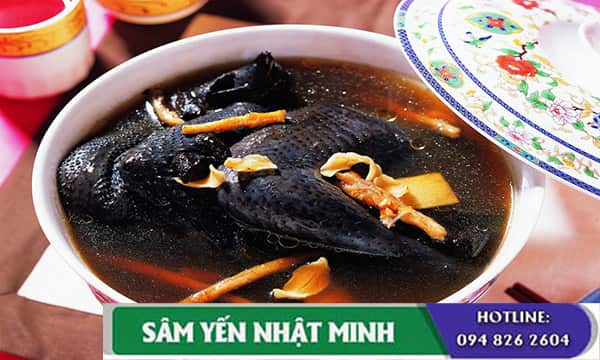 gà tiềm thuốc bắc