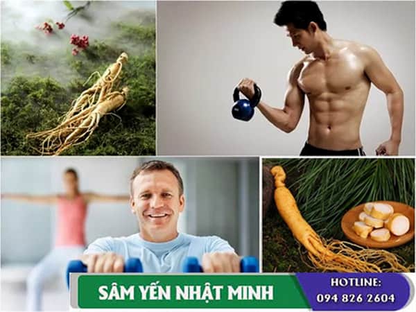 nhân sâm ngăn ngừa bệnh tật