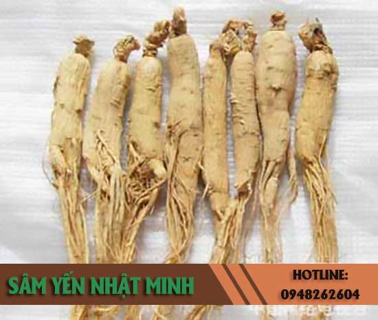 sâm tươi hàn quốc là gì