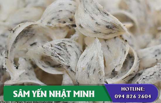 phân biệt tổ yến sào malaysia và tổ yến sào việt nam