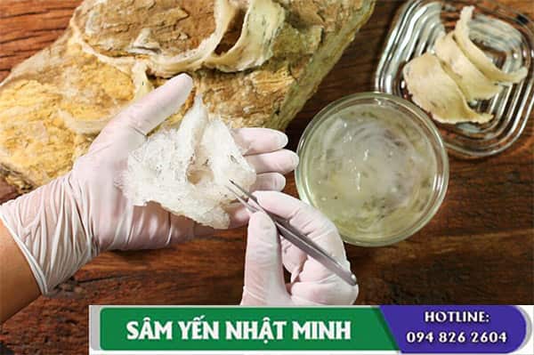 lưu ý khi nhặt lông yến