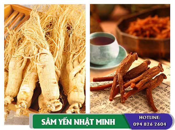 Nhân sâm khô và tươi