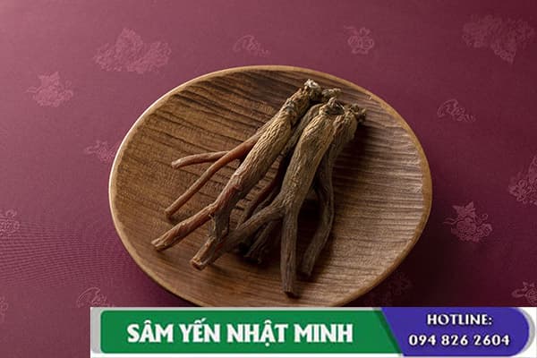 hồng sâm đẩy lùi bệnh