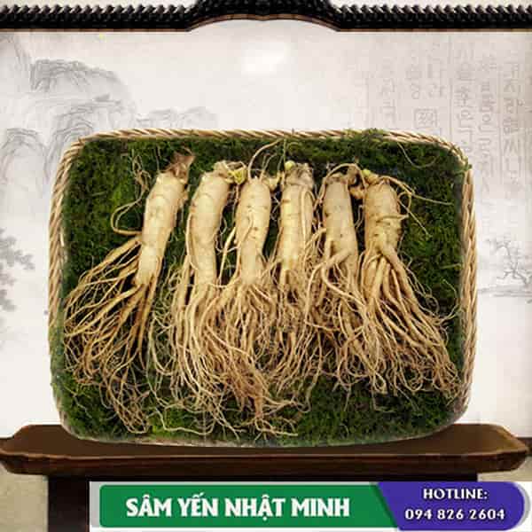 Khuyến mãi nhân sâm 6 năm tuổi