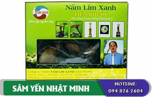 Nấm lim xanh rừng Tiên Phước Quảng Nam giải độc gan