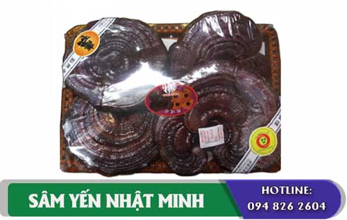 Nấm Linh Chi Đỏ Hàn Quốc 4 tai 