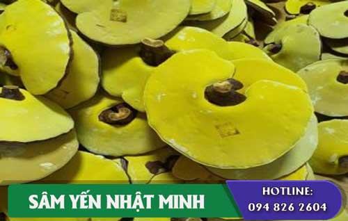 nấm linh chi imsil giúp hạ huyết áp