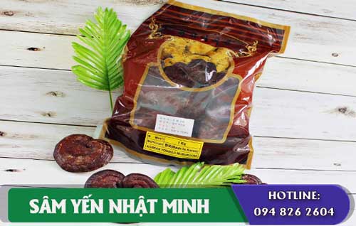 bảo quản Nấm Linh Chi núi đá 