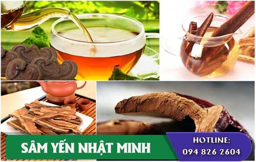 cách dùng Nấm Linh Chi Sừng Hươu hiệu quả